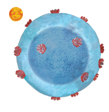 ZEPOSIA UC Mechanism of Action