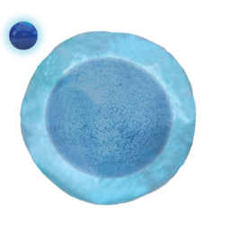 MOA of ZEPOSIA UC